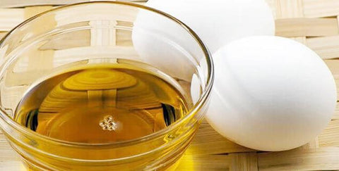 Proteina de Yema Huevo (Biotina)